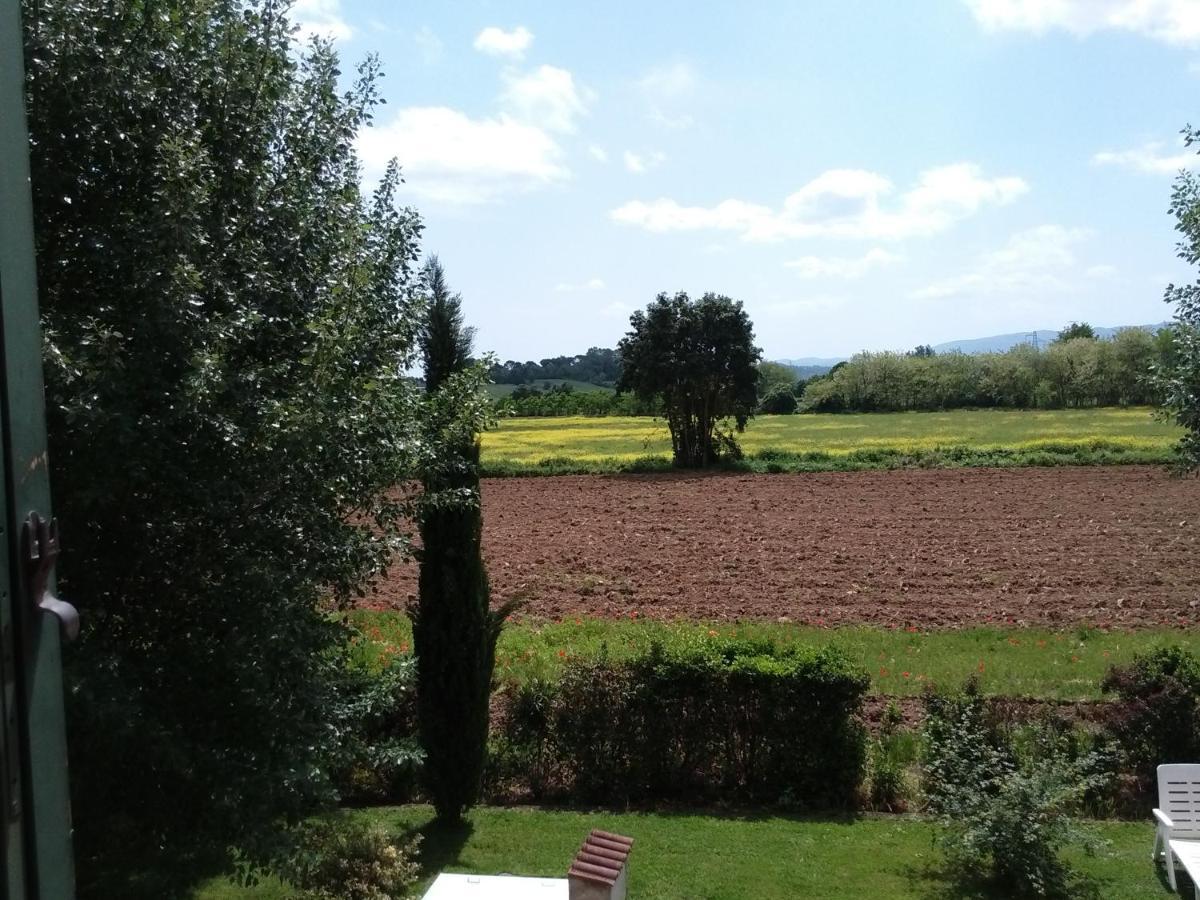 Agriturismo La Ripa Villa Reggello Dış mekan fotoğraf