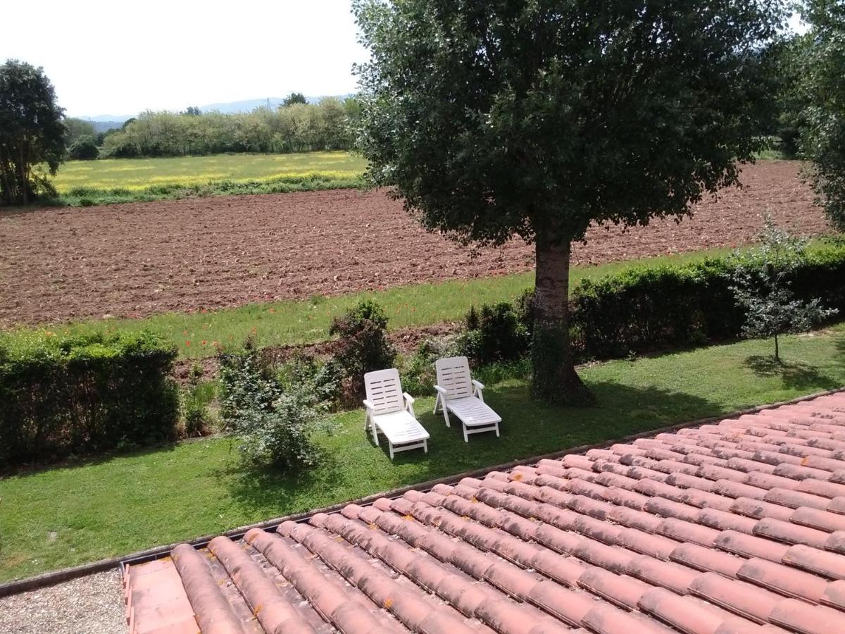 Agriturismo La Ripa Villa Reggello Dış mekan fotoğraf